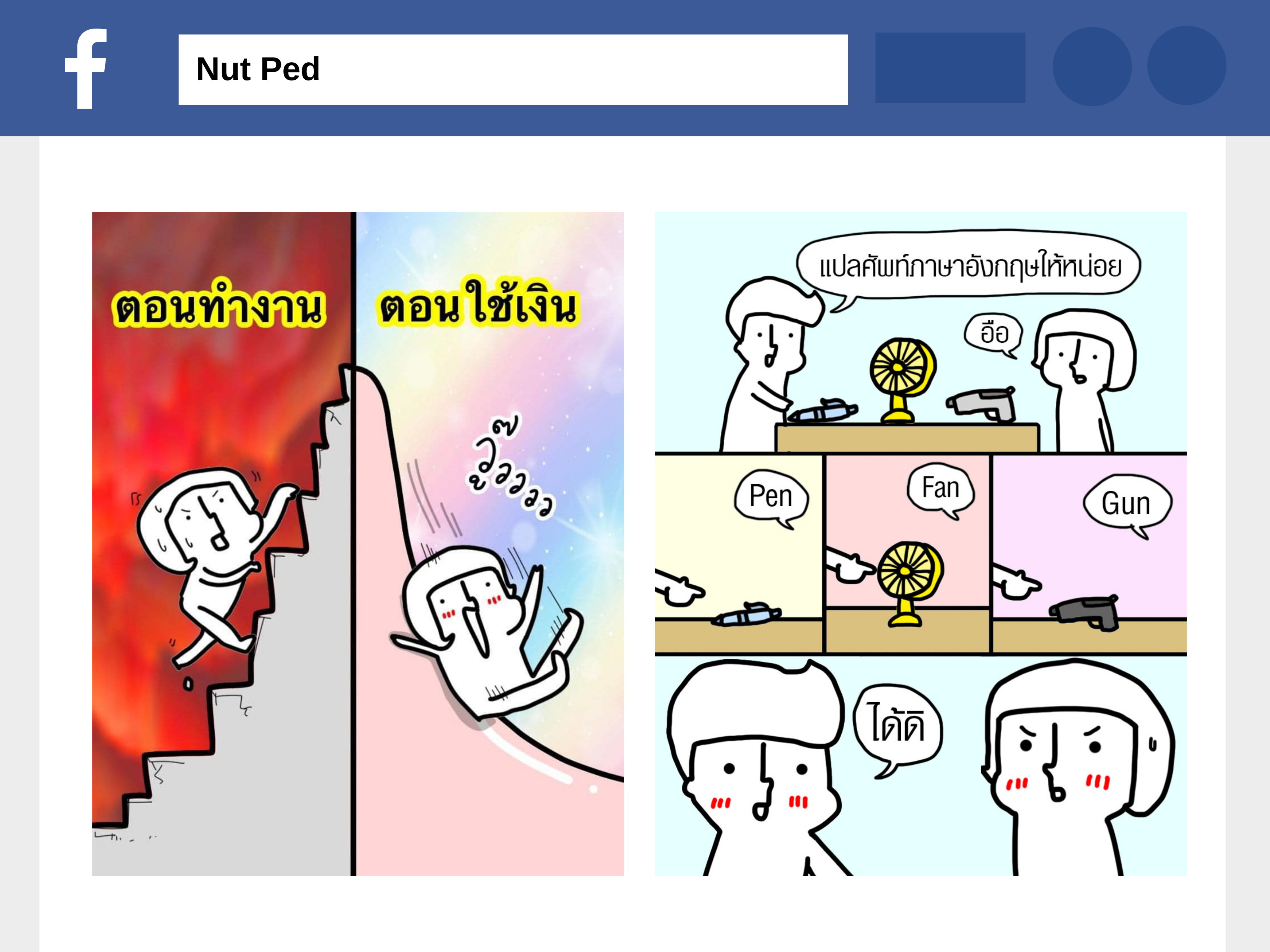 Humor in Nut Ped Facebook Fanpage: Linguistic Strategies  and the Function of Humor