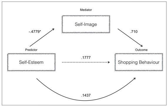 The body-image as a mediator of shopping behaviour